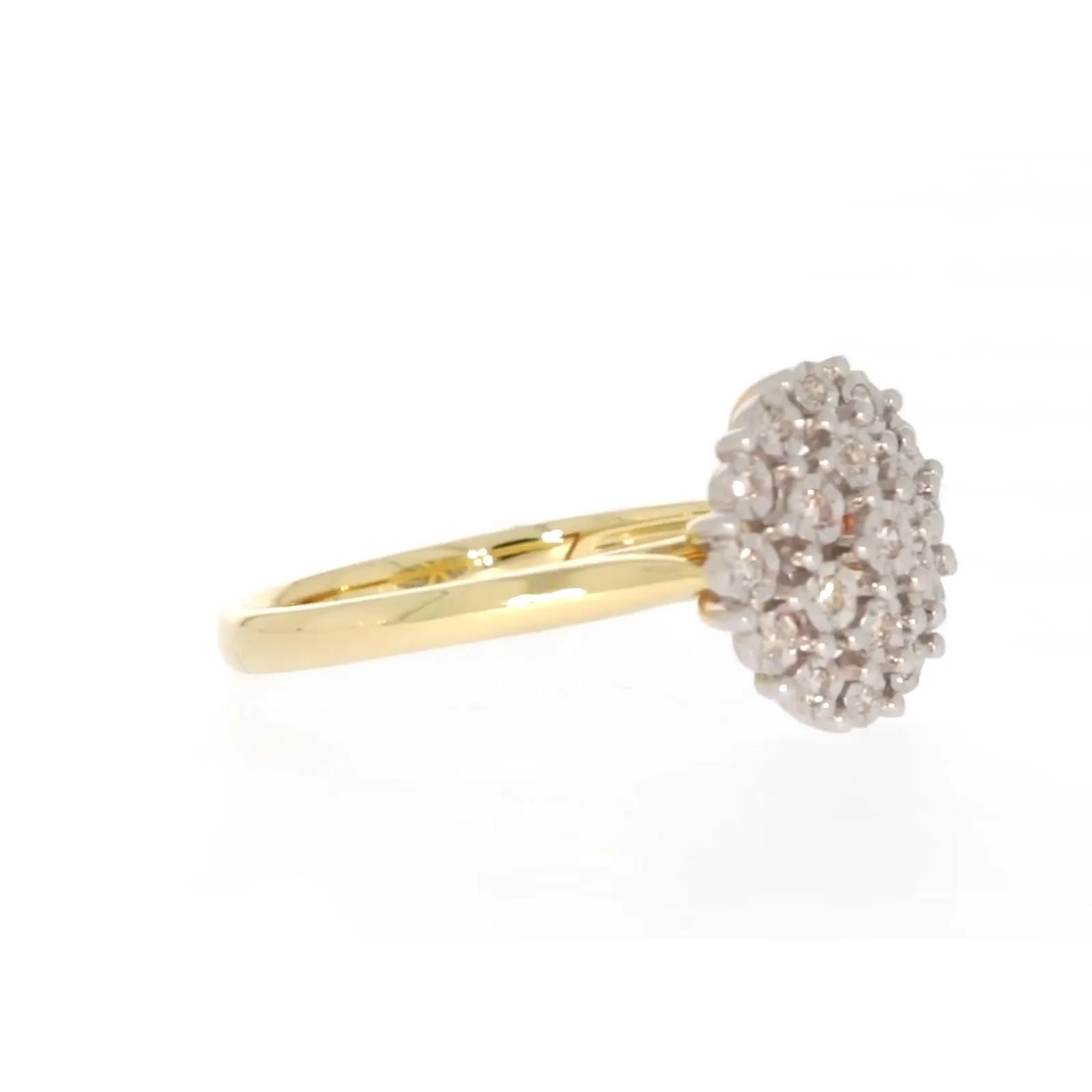 9ct Two Tone Gold Round Brilliant Cut 0.10 CARAT tw of Diamonds Ring