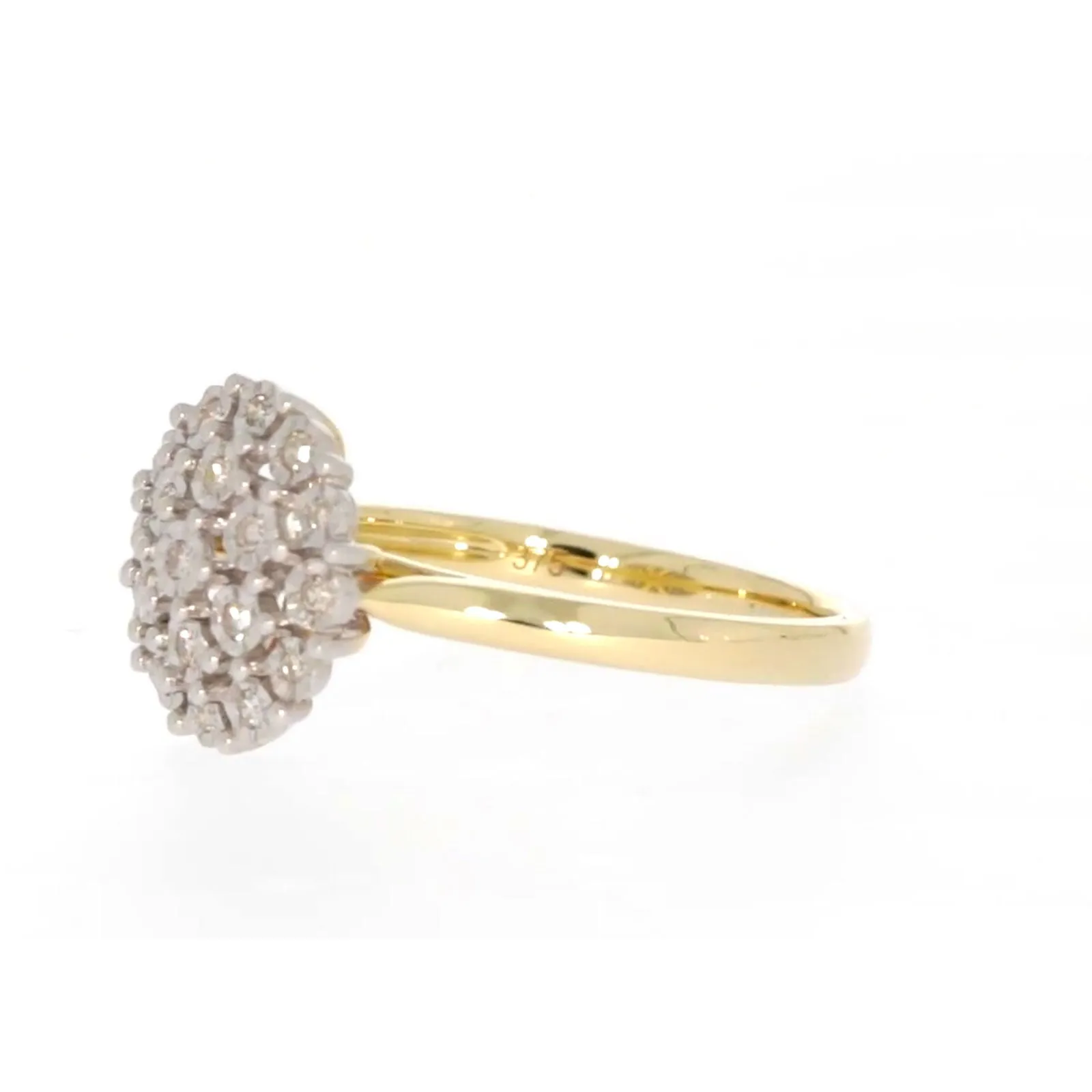 9ct Two Tone Gold Round Brilliant Cut 0.10 CARAT tw of Diamonds Ring
