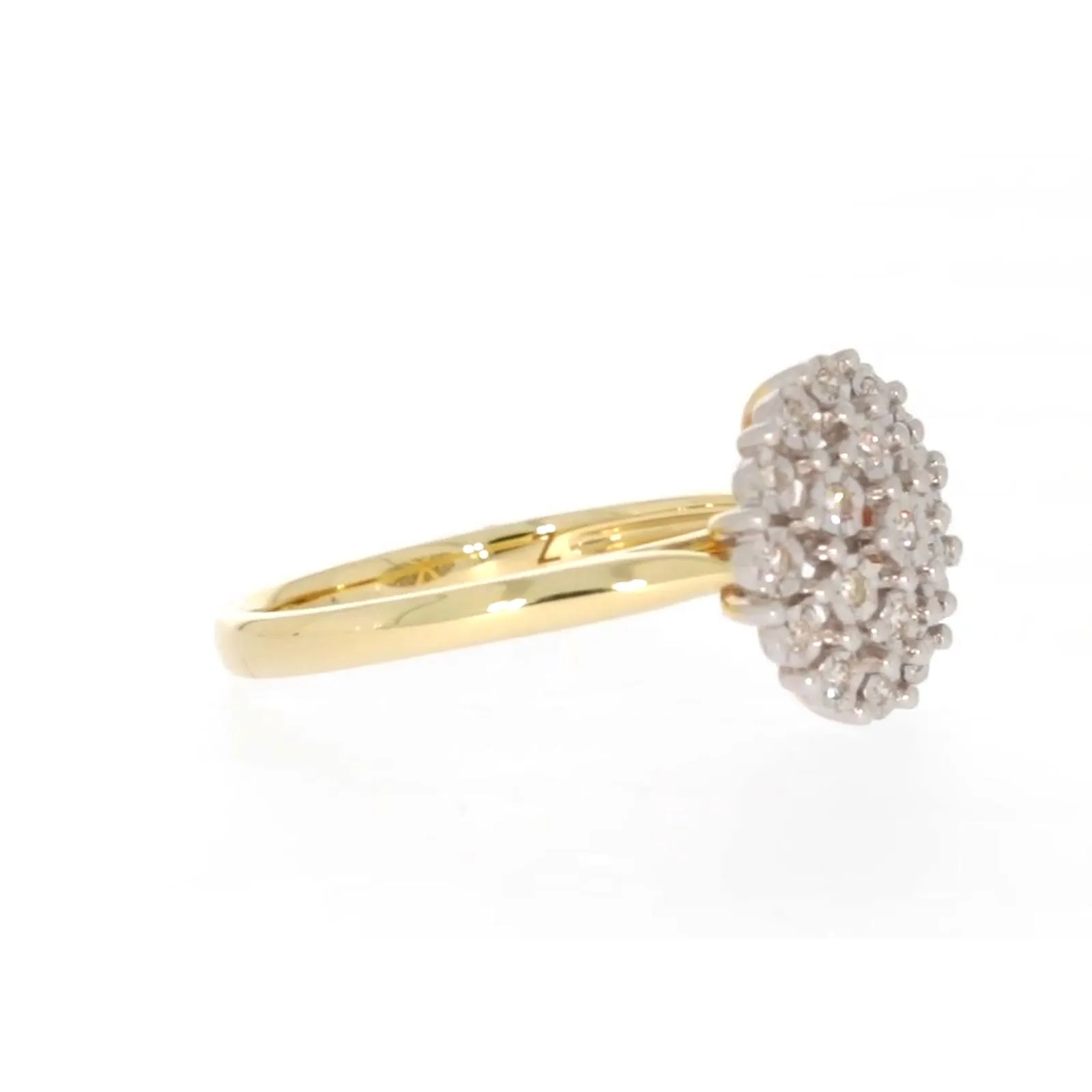 9ct Two Tone Gold Round Brilliant Cut 0.10 CARAT tw of Diamonds Ring
